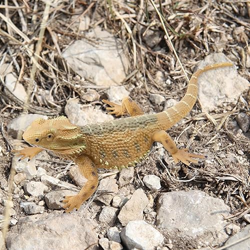 Miniatura 5 de Figura de lagarto Juguetes de animales de lagarto, juguetes de lagartos, juguetes de lagartos de plástico, figuras de animales de dragón barbudo