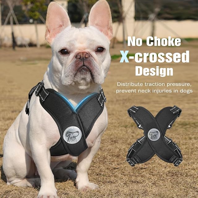 Foto 3 de 7 de Pawaboo Conjunto de arnés y Correa Ajustable para Perros pequeños