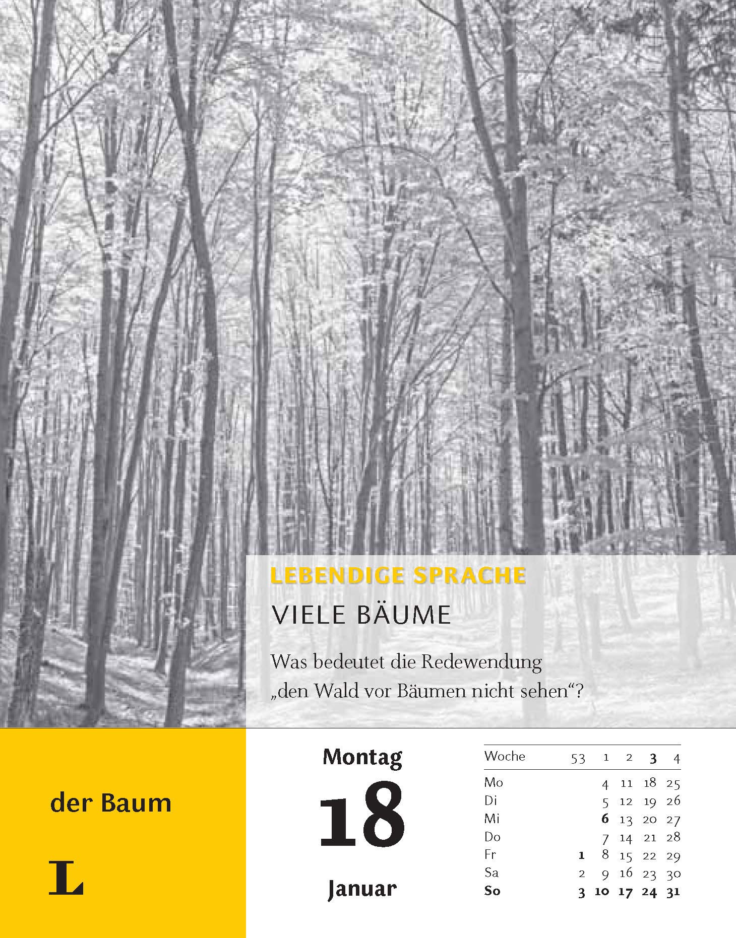 Langenscheidt Sprachkalender Deutsch als Fremdsprache 2021: Tagesabreißkalender