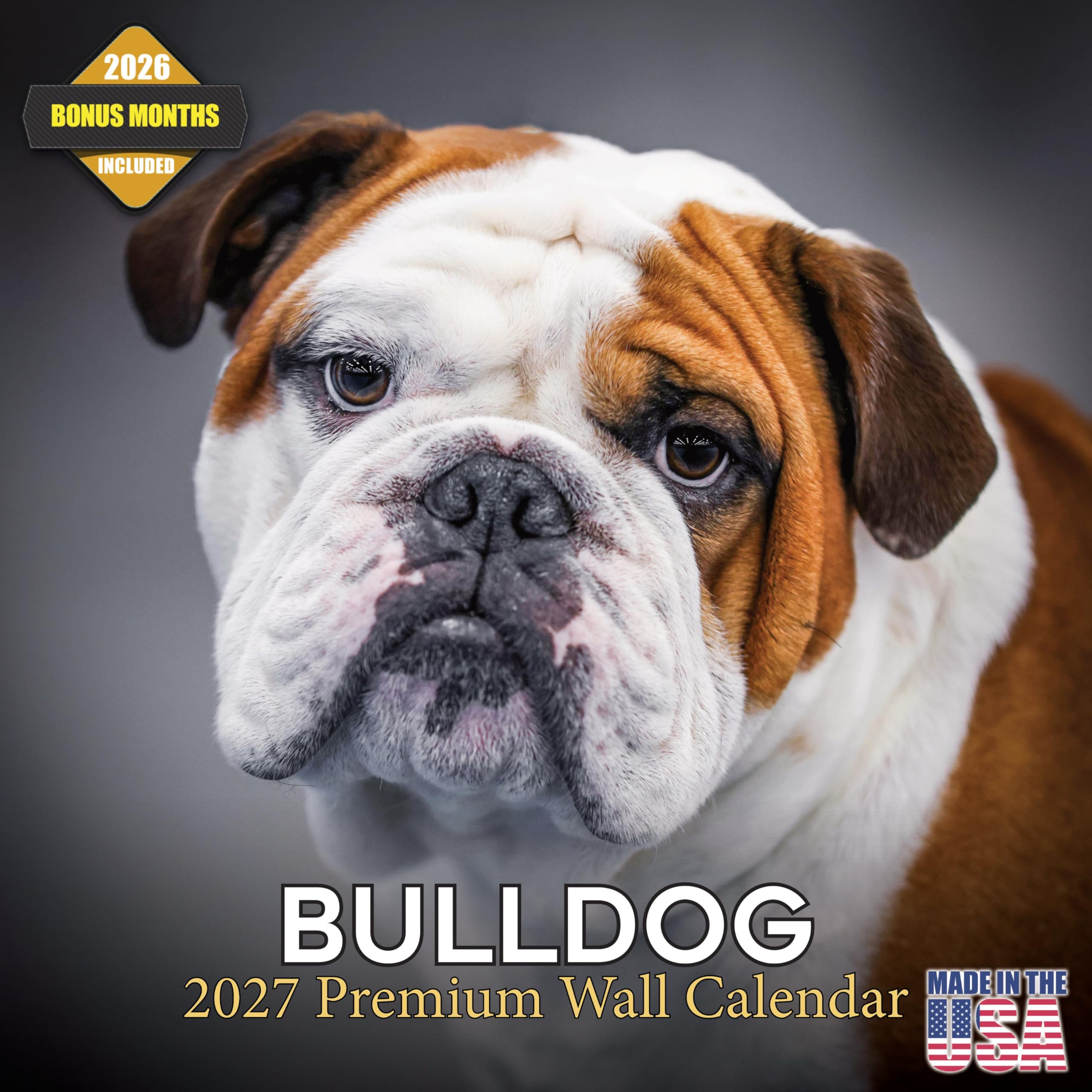 Bulldog Calendar 2026 2027, 16-Month English Bulldog Wall Academic โ image 1
