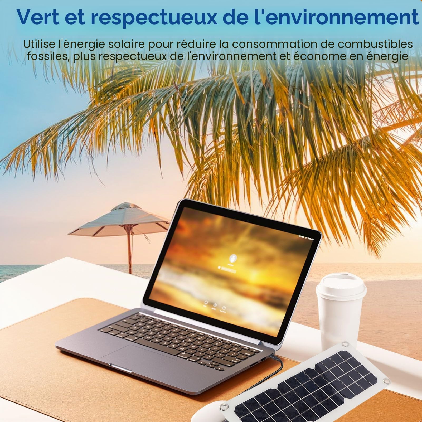 Fockety Kit Panneau Solaire, Panneau Solaire monocristallin étanche de 30W avec Double Sortie USB 18V 5V, régulateur de Solaire 12V 24V, Clip Batterie pour VR, Camping-Car