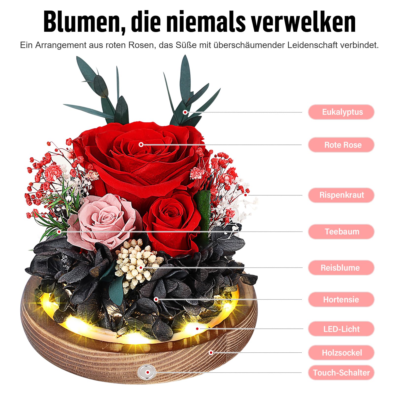 Ewige Rosen im Glas mit LED Licht, Infinity Rose, Konservierte Rosen aus echter Blume, Geschenk für Frauen, Mama oder Freundin, Valentinstag, Jahrestag, Geburtstag, Muttertag, Rote Rose