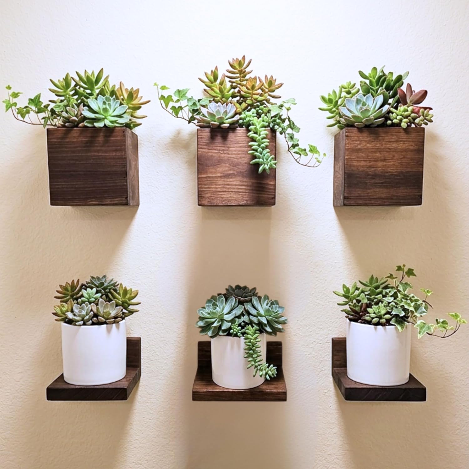LaLaGreen Indoor Planter Box 6 Pack (3 Boxes + 3 Shelves) Wooden Square Wall Hanging Planters with Floating Shelf, Small Cube Planters Boxes for Flowers, Centerpieces, Room Decoration Plant Display