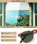 CARFIA Retro Acetate Polarized Sunglasses for Men UV400 Protection, Round Shades with Gold Filigree CA5506