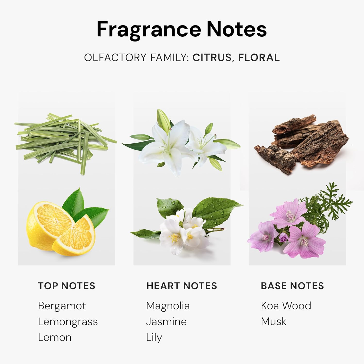 Golden Diffuser Fragrance Oil, Opulent Resort-Style Aroma,  Essential Oils Blend for Home, Ultrasonic & Waterless Diffusers  | Bergamot, Jasmine & Lemongrass |  4.05 fl oz, 120 mL - Image 4