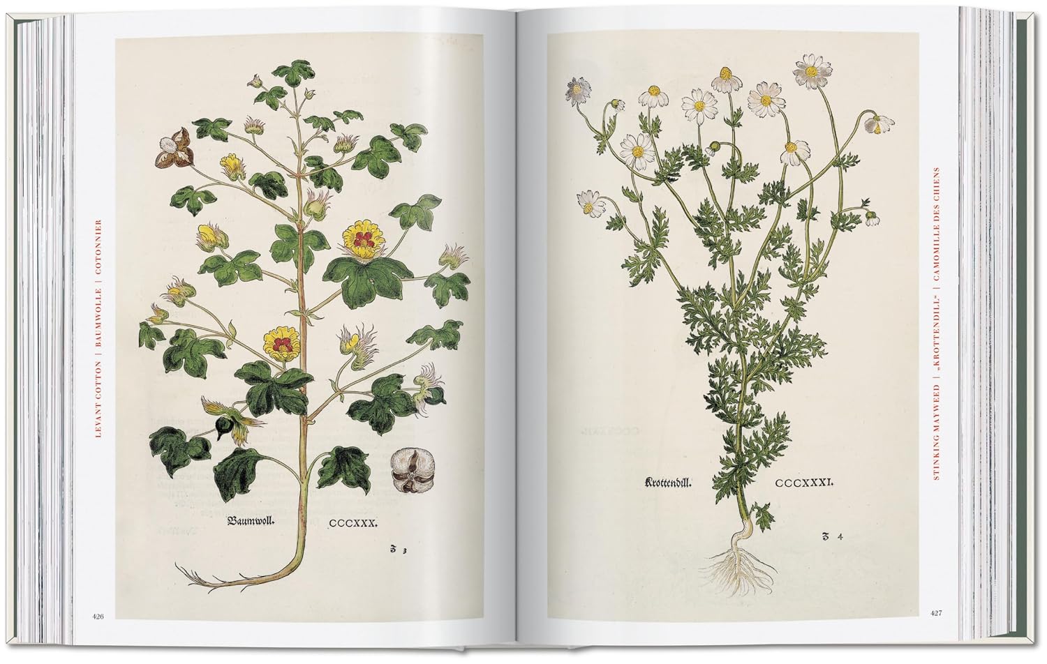 Leonhart Fuchs. The New Herbal (Sourcebook) (Multilingual Edition)