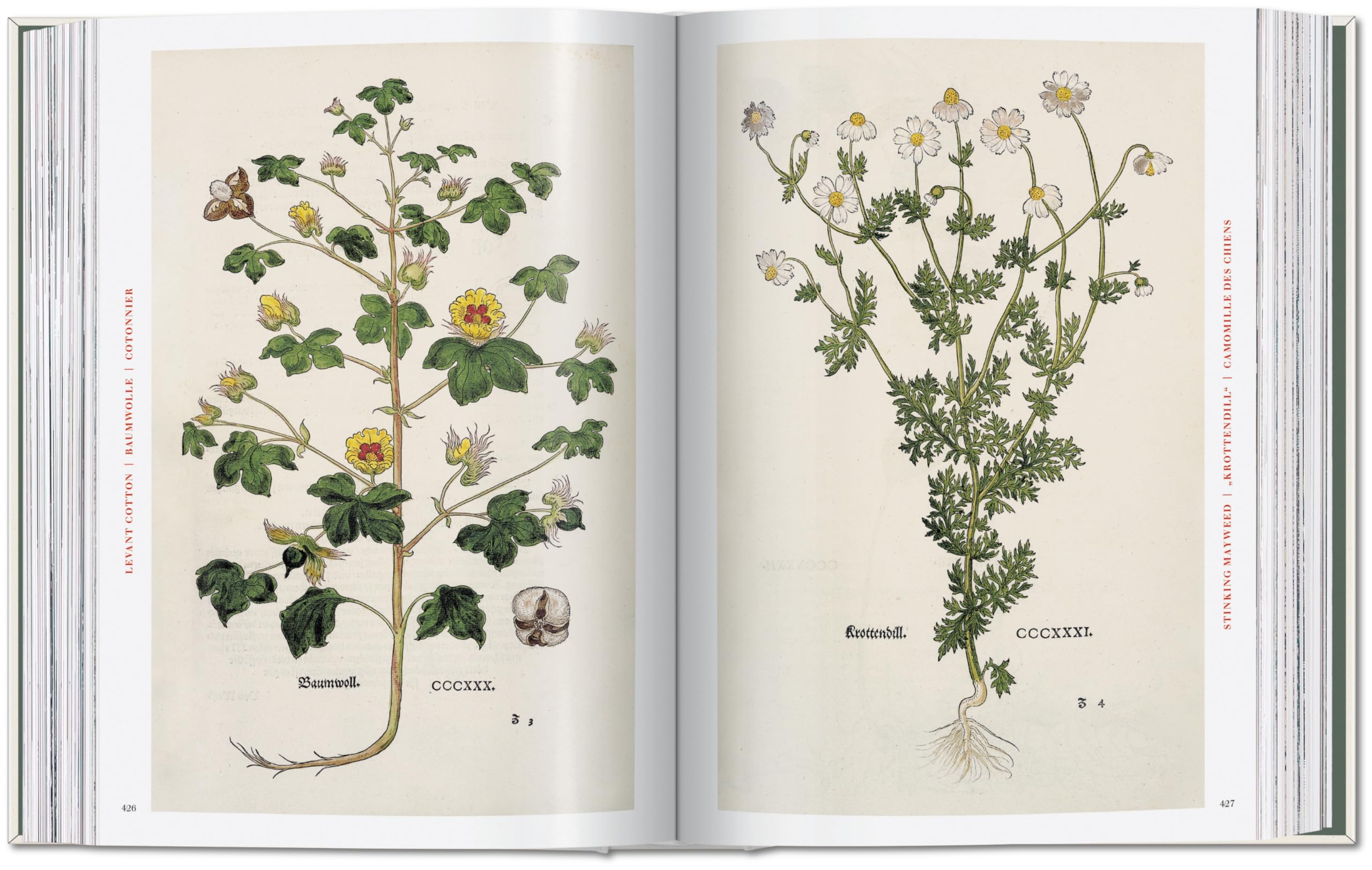 Leonhart Fuchs: The New Herbal