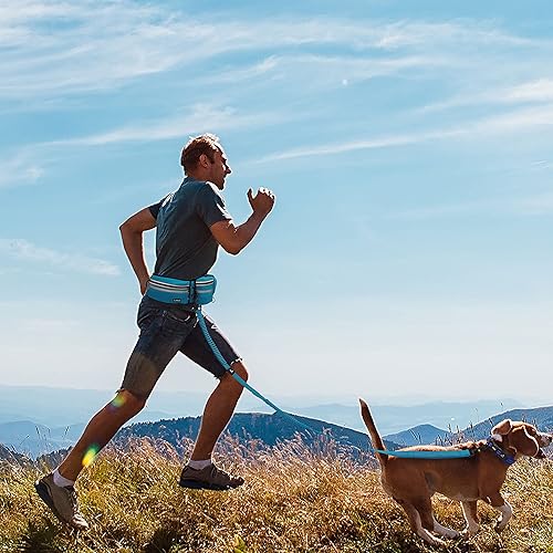 Miniatura 8 de KZJBELT-11 - Cinturón para correr y manos libres, correa elástica retráctil con absorción de golpes, con cinturón para correr, caminar, entrenar,