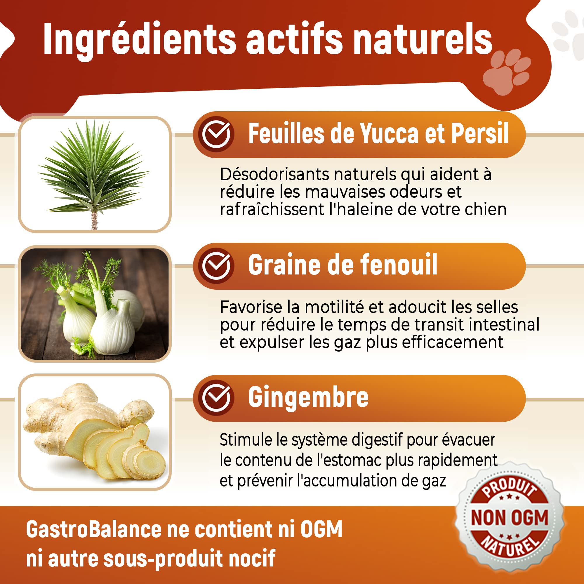 Traitement Anti Flatulence Chien - complément Alimentaire Chien flatulences - 60 croquettes Chien Anti Flatulence - Goût Poulet (Francais)