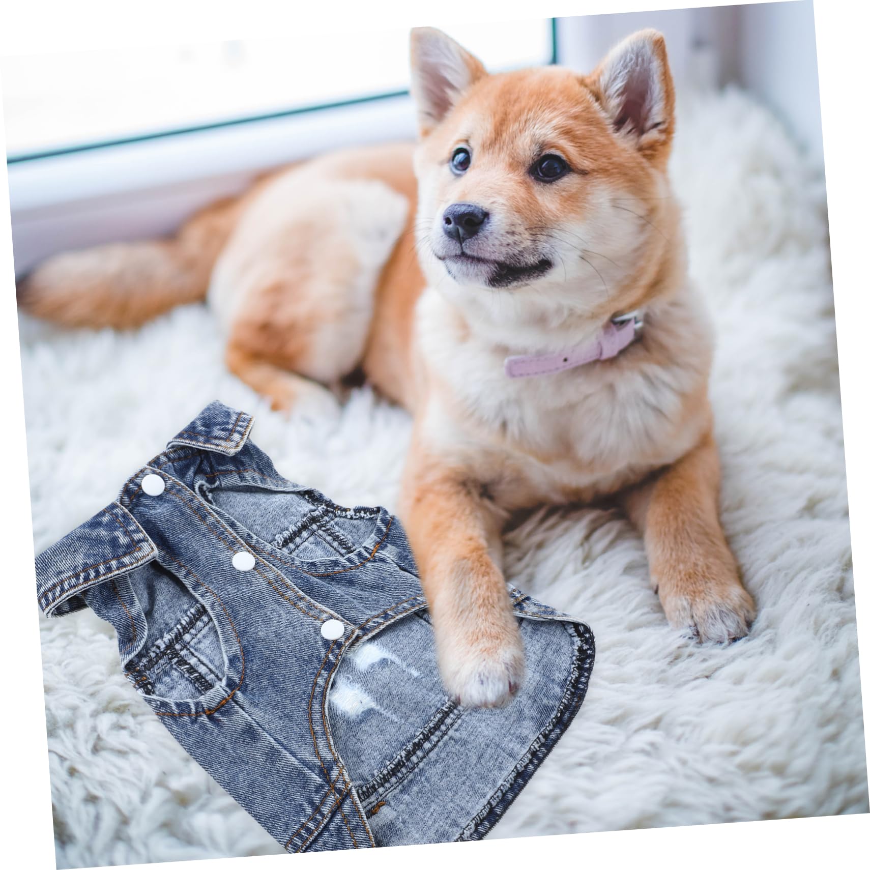 2 Pezzi Di Cappotti Per Cani Gilet in Denim Per Cani Di Piccola Taglia Cuccioli Abbigliamento Per Animali Domestici Gilet Per Cani Stile