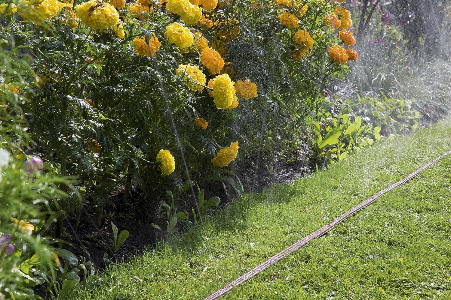 Gardena Tubo Irrigatore 15 m: Getto Nebulizzato per L'Irrigazione di Zone Lunghe e Strette, Pronto All'Uso, Ideale per Piante Delicate, Marrone (1999-20)