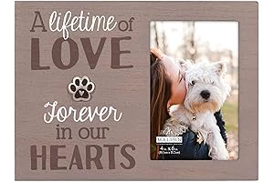 Malden Int Designs 4x6 Pet Loss Memorial Picture Frame