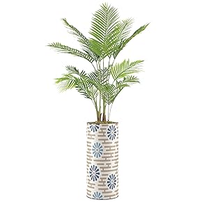 SIGNWIN Areca Palm Tree with Dark and Light...