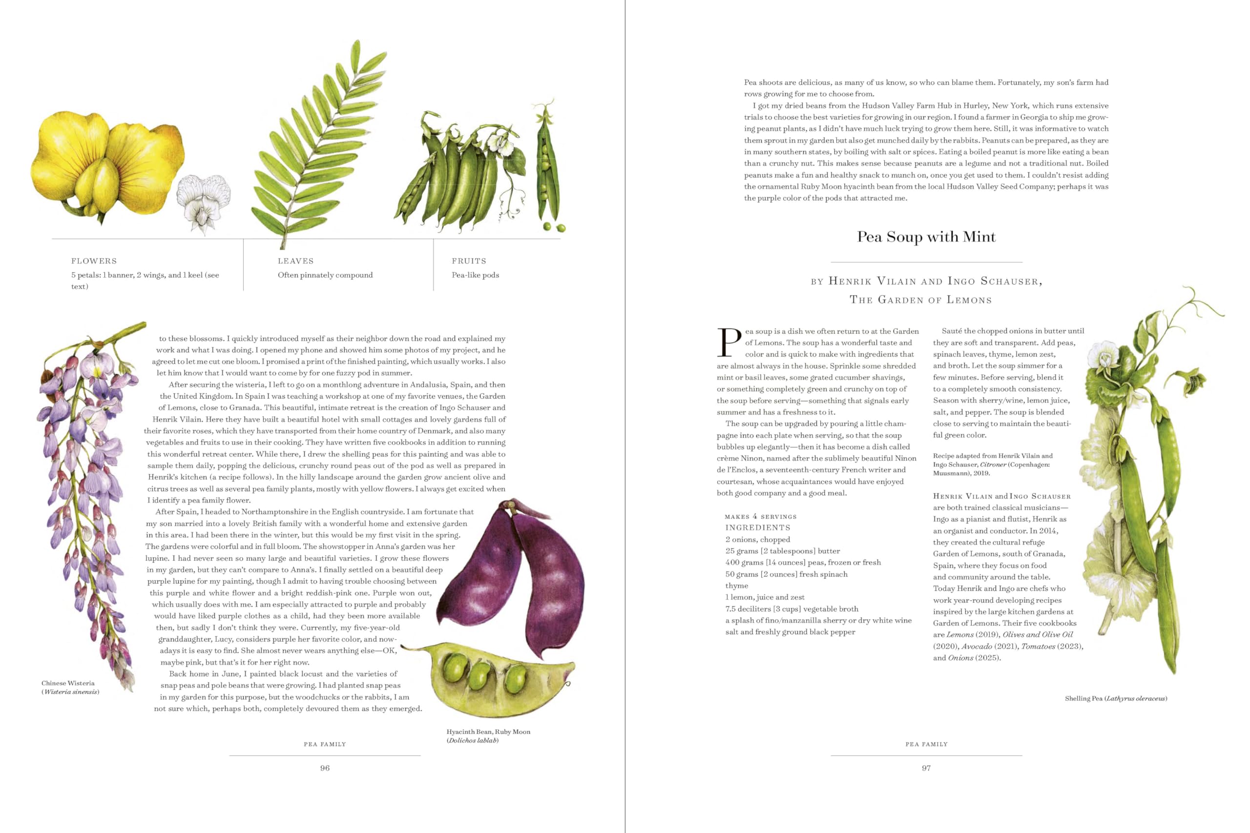 The Album of Plant Families: An Illustrated Exploration of Nature's Beauty and Bounty