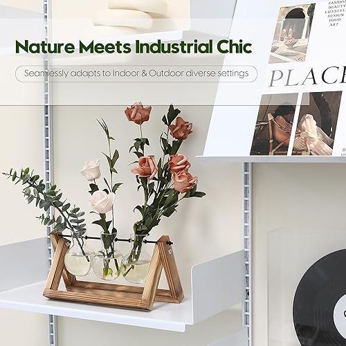 Miniatura 4 de Hinwo Terrario para plantas con soporte de madera, estación de propagación, bombilla de maceta de aire, jarrón de vidrio con soporte giratorio de