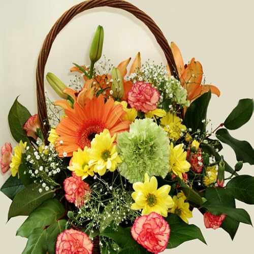 Gift Basket Ideas - //medicalbooks.filipinodoctors.org