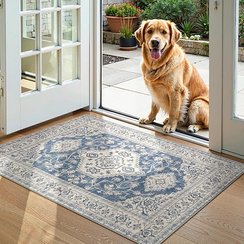 Lahome Tapete oriental lavable, de área, pequeño, 2 x 3 pies, para entrada y cocina, ultrafino, suave, antideslizante, para puerta de interior,