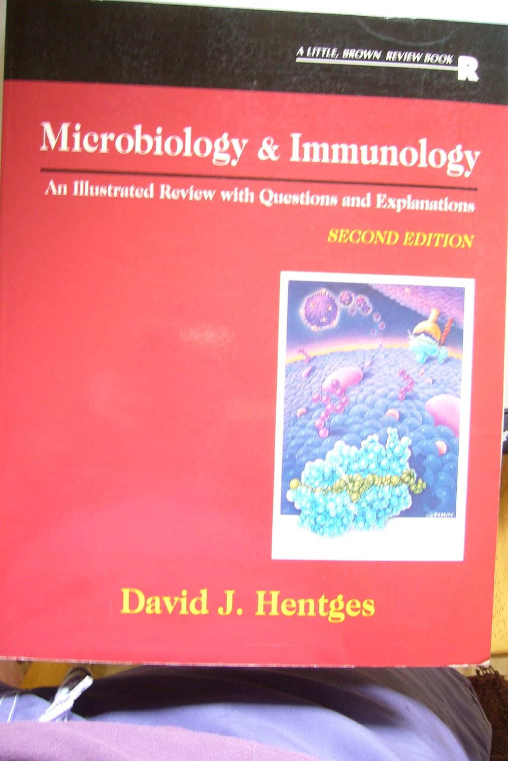 Microbiology & Immunology An Illustrated Review With Questions and