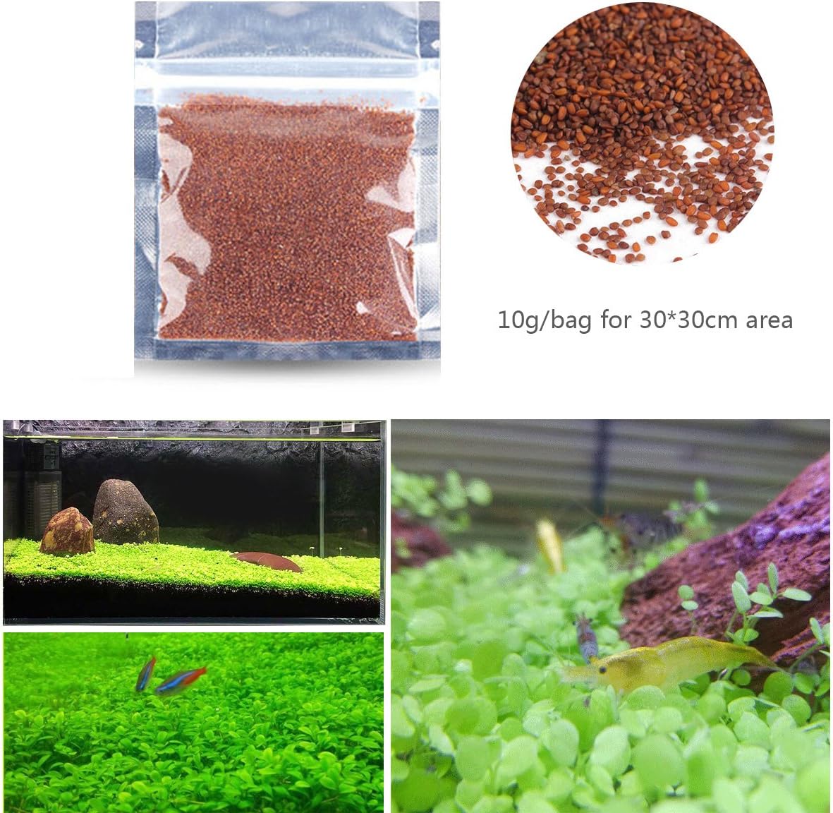 Fish Tank Water Plant Seeds Small Leaf for Landscaping Beginner, Easy Planting and Fast Growing Water Grass Seed, Aquatic Live Plant for Fishbowl, Aquarium, Home Decoration, 10g/bag for 30x30cm Area