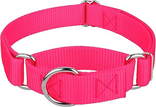 Country Brook Petz Collar tipo Martingale para perro de nailon de alta resistencia
