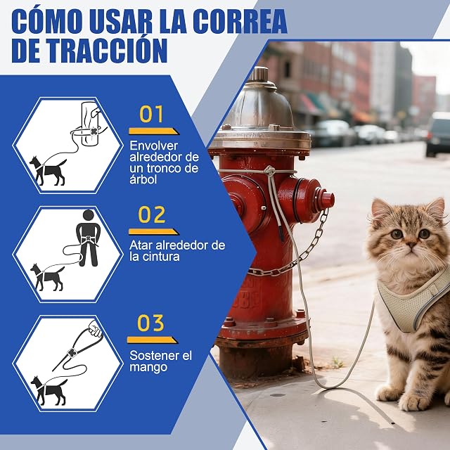 Foto 7 de 7 de Arnés para Gatos con Correa 255cm XXS (Pecho 27-34cm) Beige