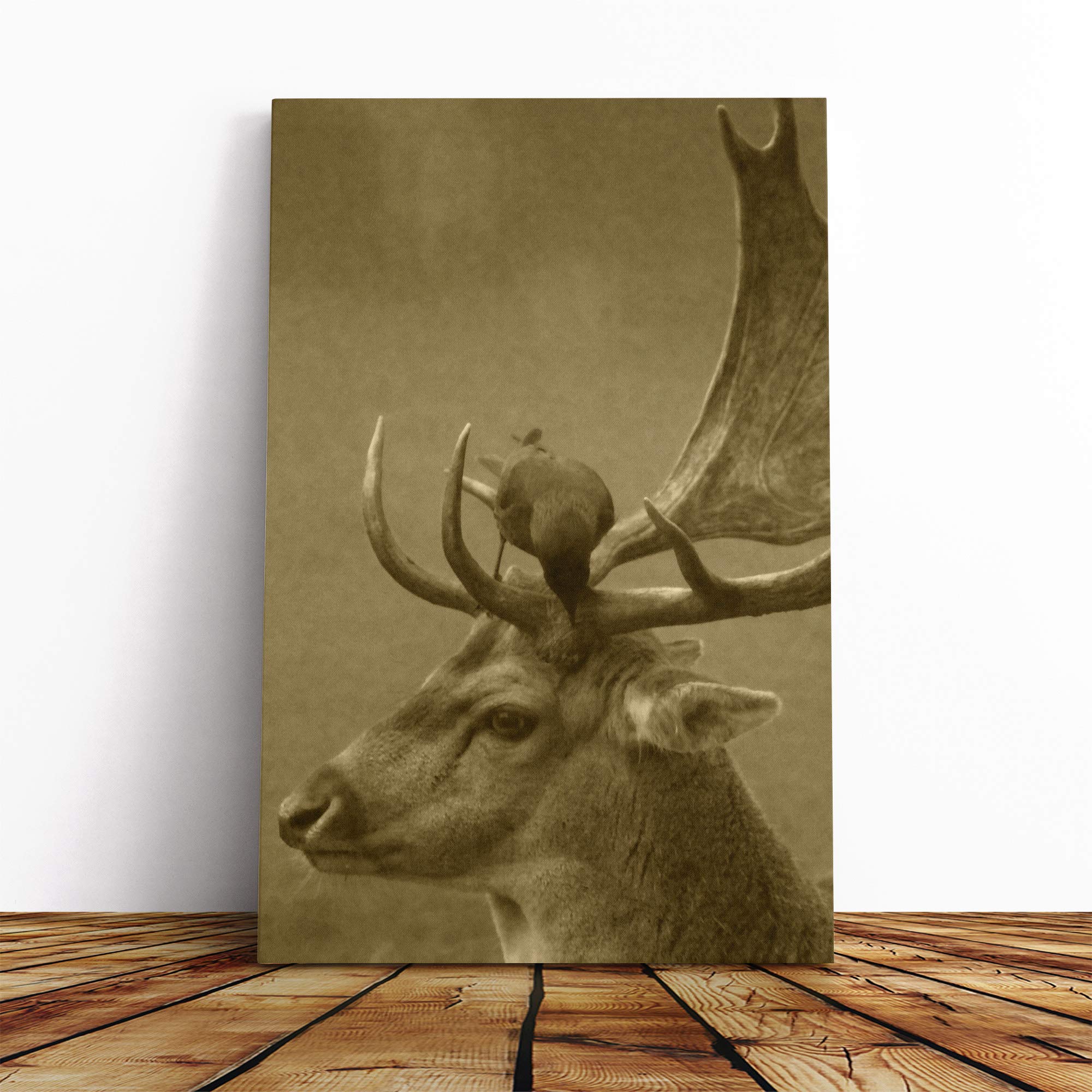 Stag and Bird Canvas Print | Gallery Wrapped 30mm Frame Wall Art | 30x20 inches | Ready to Hang | Modern Animals Picture | Living Room Bedroom Lounge Office