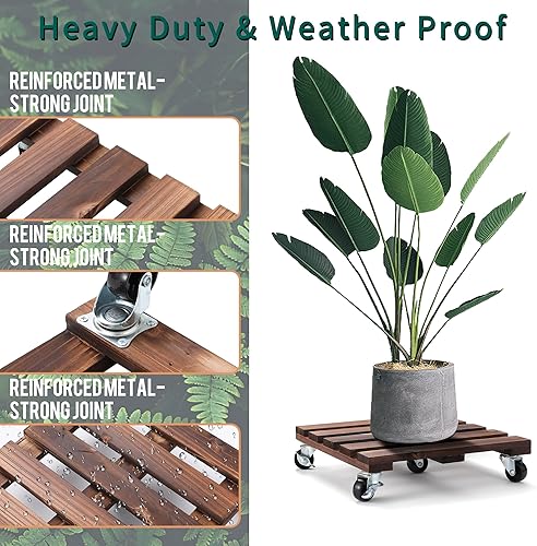 Miniatura 4 de Soporte cuadrado de madera original con ruedas, 2 paquetes de soporte rodante para plantas con ruedas bloqueables de 360 para torres de jardín