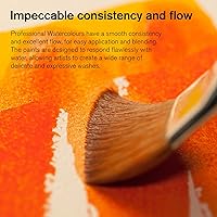 Vista 81 de Winsor & Newton - Pintura para acuarela profesional