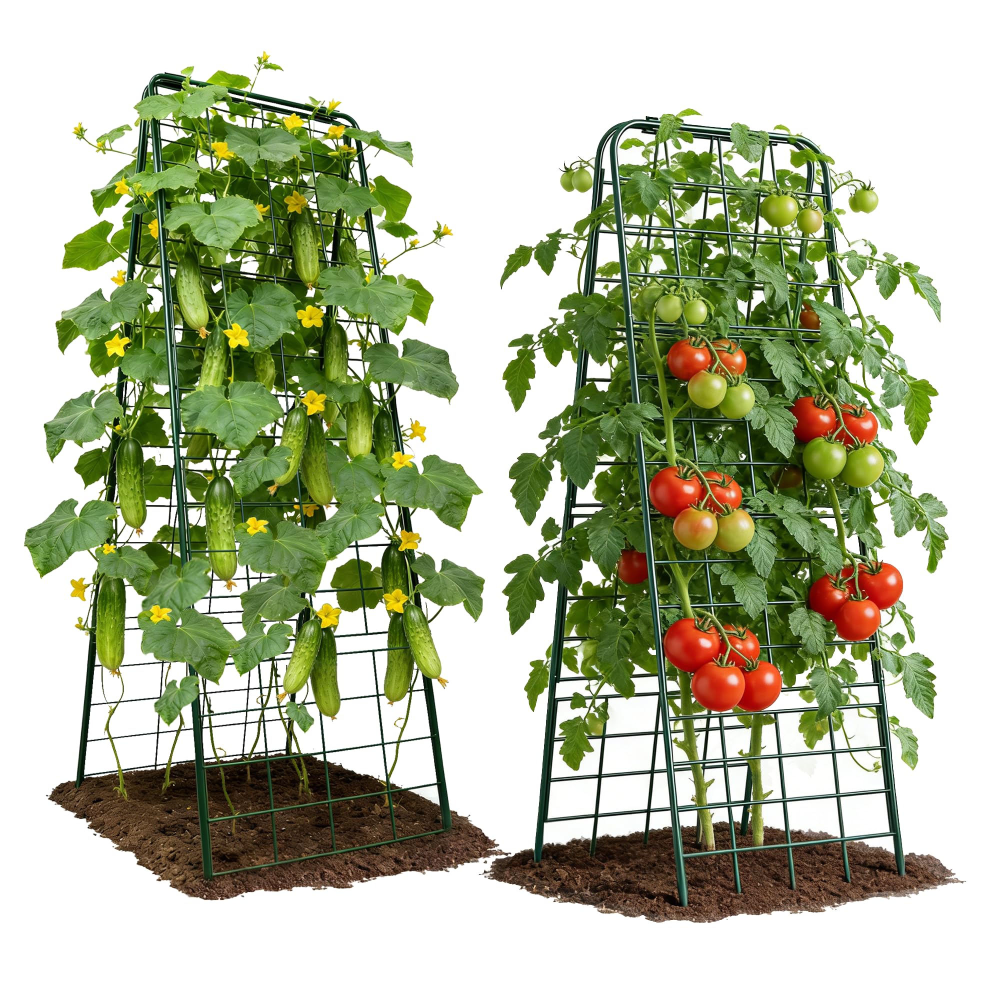 Treillis de concombre robuste réglable pour plantes grimpantes de jardin