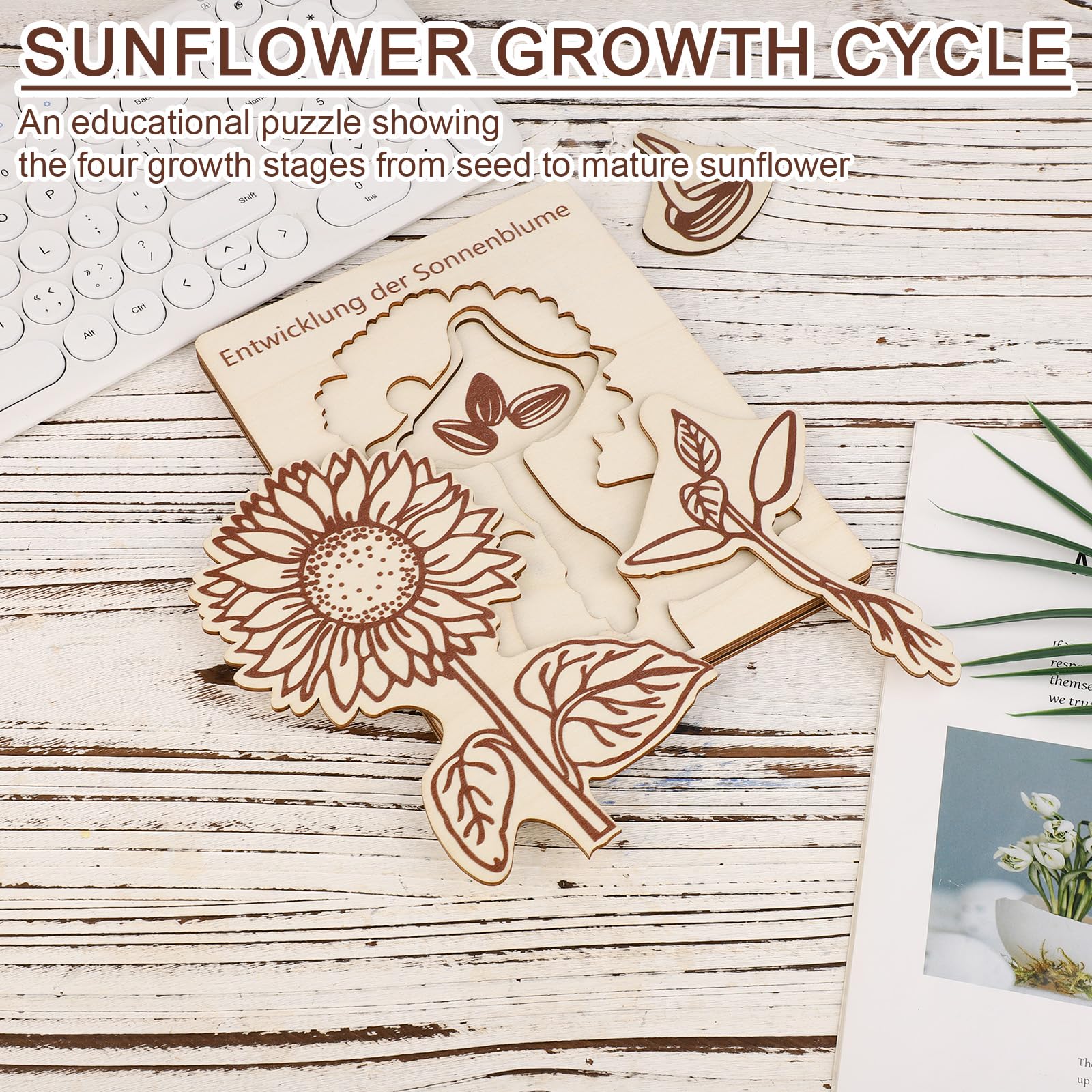 Puzzle du Cycle Vie Tournesol pour Enfants, Jouets Éducatifs en Bois, Apprentissage du Cycle Vie, 3-8 Ans