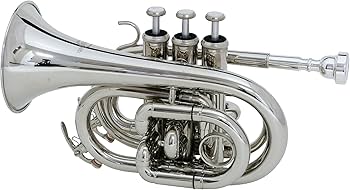Amazon.co.jp: MAXTONE ポケット トランペット B♭管 TM-100N ニッケル Amazon.co.jp: MAXTONE ポケット トランペット B♭管 TM-100N ニッケル