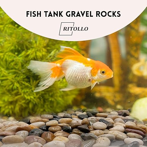 Miniatura 4 de Piedras de 12 libras, rocas de río de gravilla de guisantes de 0.4-1.2 in, para plantas de interior, piedras decorativas altamente pulidas, relleno