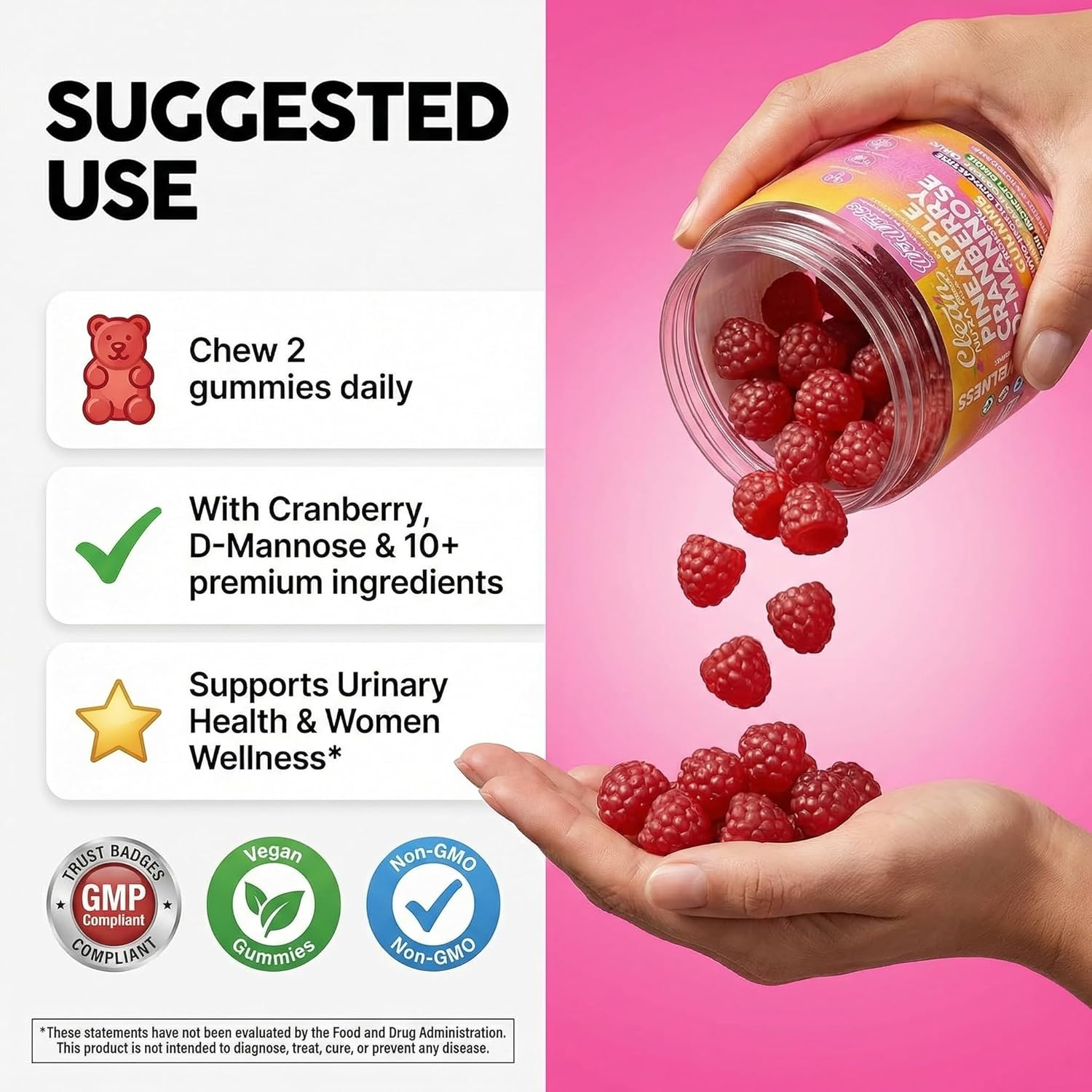 Wet Works Women's Vaginal Probiotic Gummies Pineapple Cranberry Folic Acid D-Mannose Vitamin C Chicory Myo Inositol Garlic Black Cohosh Zinc Iron Evening Primrose Chastetree 60 Count by Clean Nutra