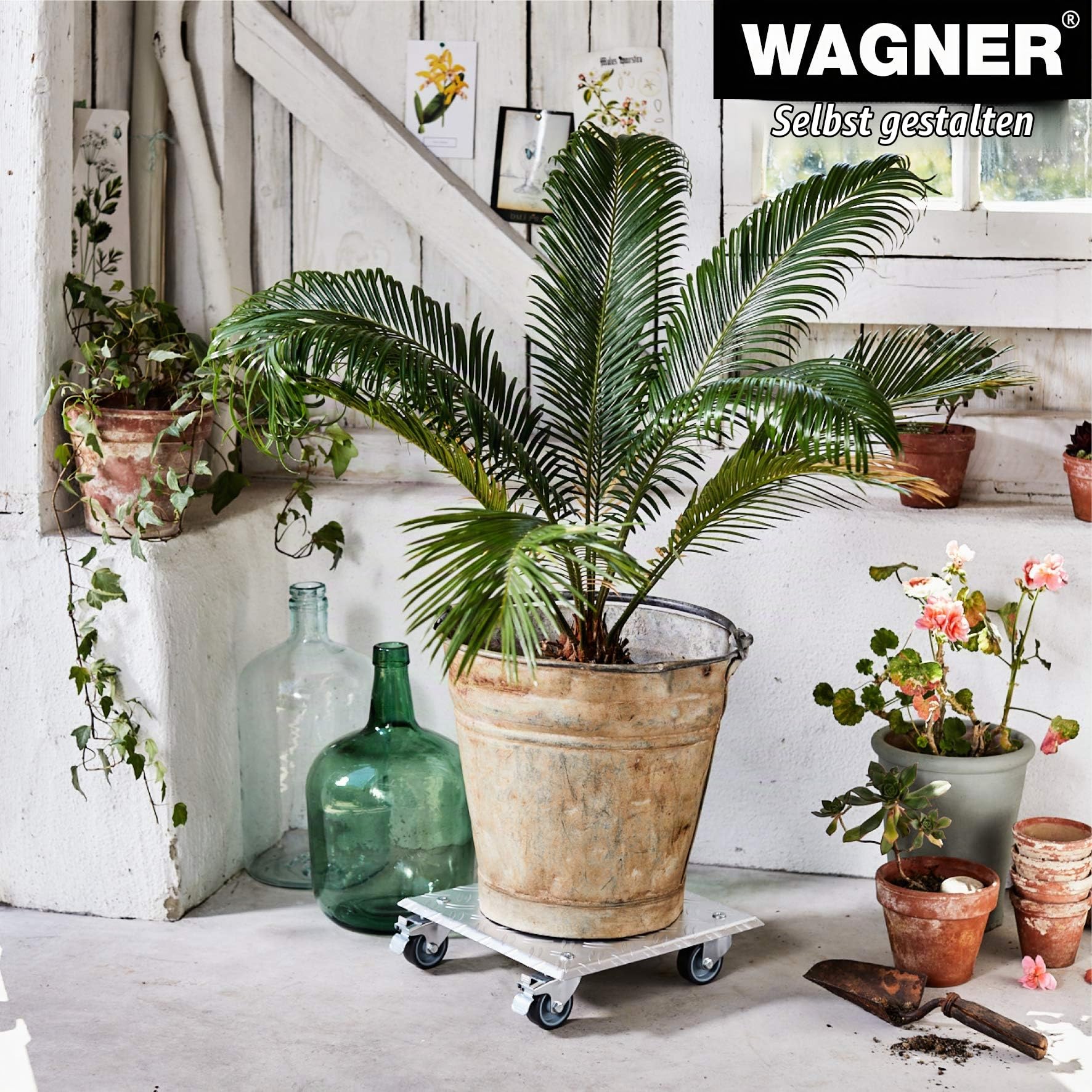WAGNER Pflanzenroller Alaska 28 x 28 x 7,5 cm I Blumenroller für Außenbereich + Innenbereich I Kübelroller aus Aluminium Riffelblech I 2 Total-Feststeller I Tragkraft 100 kg I Made in DE- 20700401
