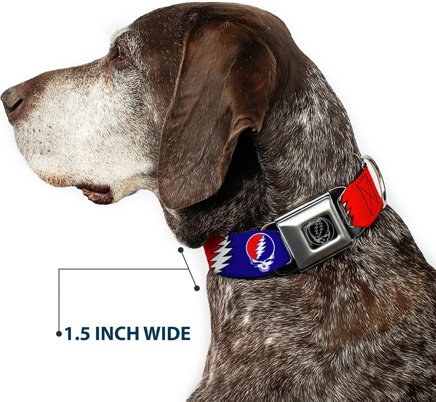 Buckle-Down DC-WGD019-WS Seatbelt Dog Collar, Wide Small, Steal Your Face w/Lightning Bolt Repeat Red/White/Blue, Multicolor, 1.5"" Wide - fits 13-18"" Neck - Small