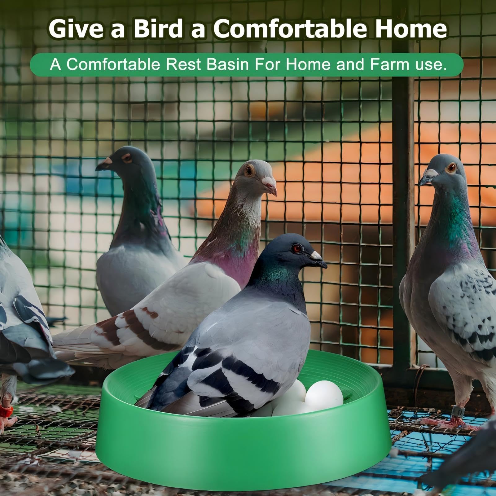 5 Pièces Nids d'oiseaux en Plastique Bol De Nidification d'oiseaux Bol D'élevage D'oeufs D'oiseau Respirant Nid D'élevage De Pigeons avec Tapis pour Colombes Cailles Et Petits Oiseaux