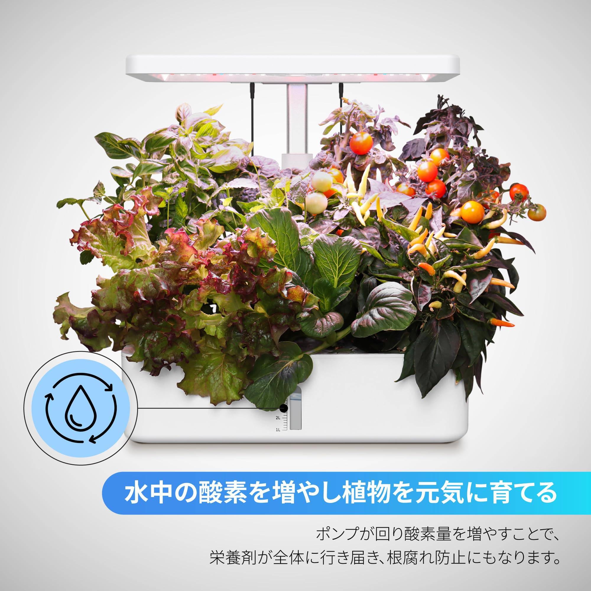 Amazon.co.jp: 水耕栽培キット 水耕栽培 セット 室内 植物育成LED