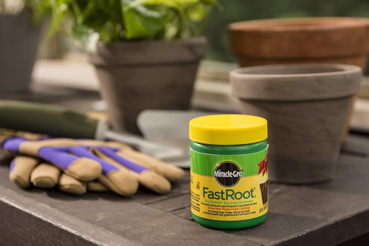 Miracle-Gro FastRoot1 Dry Powder Rooting Hormone 1.25 oz., Houseplant and Succulent Propagation, for Rooting House, Foliage, Tropical, and Hardy Ornamental Plants, 2-Pack