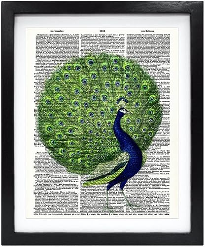 Susie Arts 8X10 sin marco colorido pavo real Upcycled Vintage diccionario arte impresión libro arte impresión decoración del hogar arte de pared V043