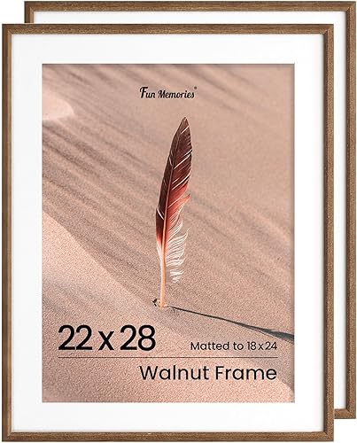 Miniatura 407 de Fun Memories Portarretratos de metal de 16 x 20 pulgadas con paspartú de 11 x 14 pulgadas, acabado de aluminio cepillado, parte delantera de vidrio