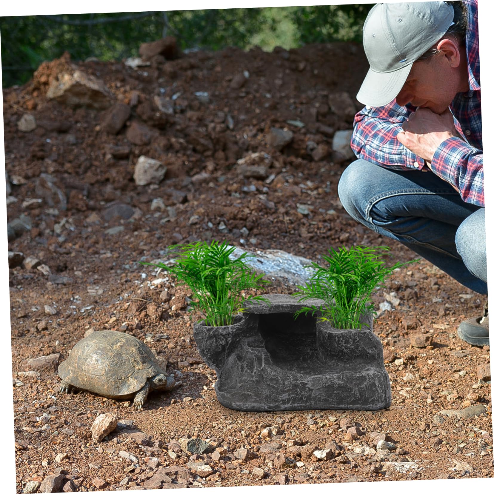 Happyyami Plataforma De Basking para Tortugas De Decorativa Rampas Simuladas para Terrarios y Acuarios para Reptiles como Lagartos y Tortugas Multi-Funcional y Duradera