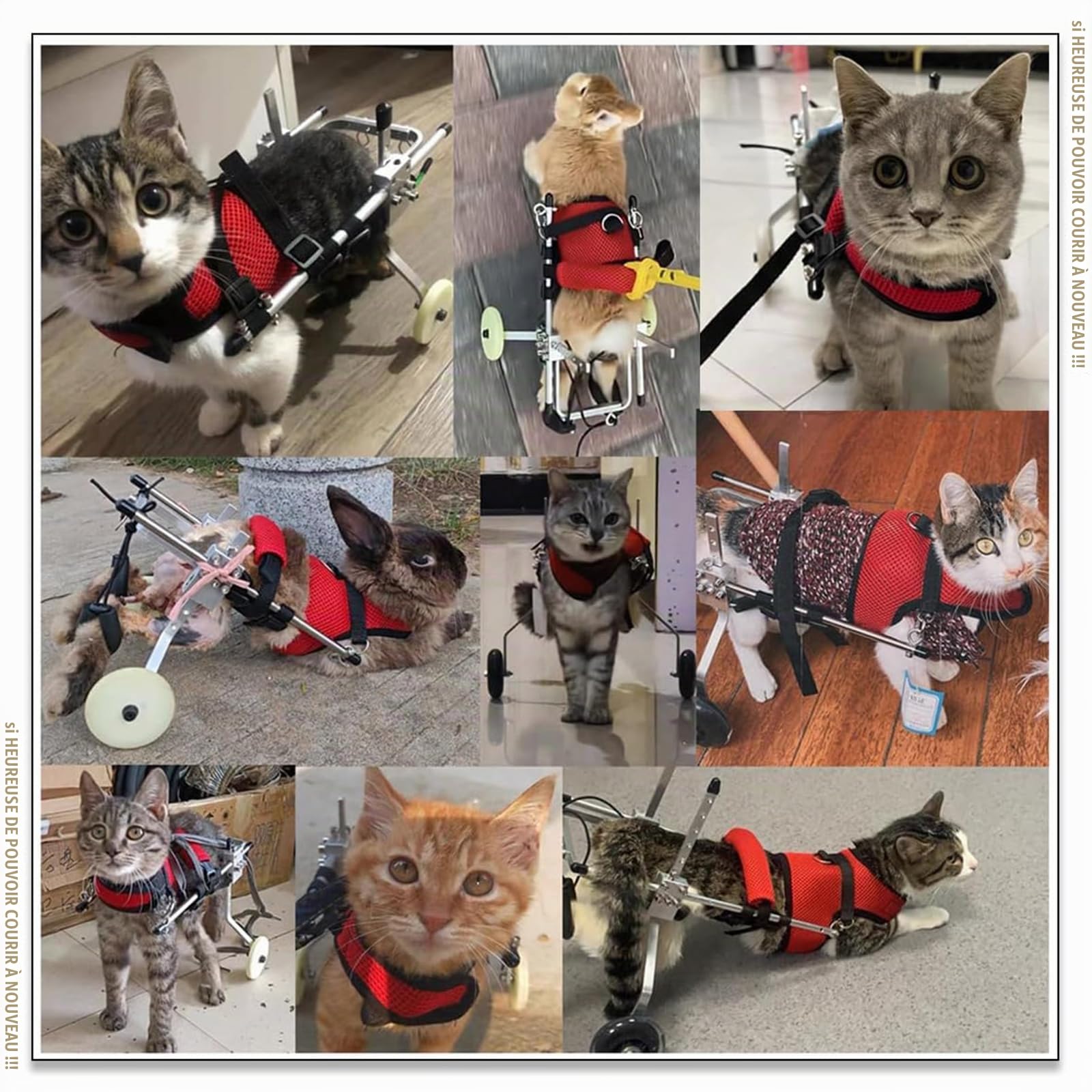 Harnais De Soutien pour Chien, Fauteuil Roulant pour Chat Lapin Handicapé Réadaptation pour Patte Arrière/Jambe Arrière, Aide À Marcher, Chariot pour Les Animaux Âgés Et Blessés,S