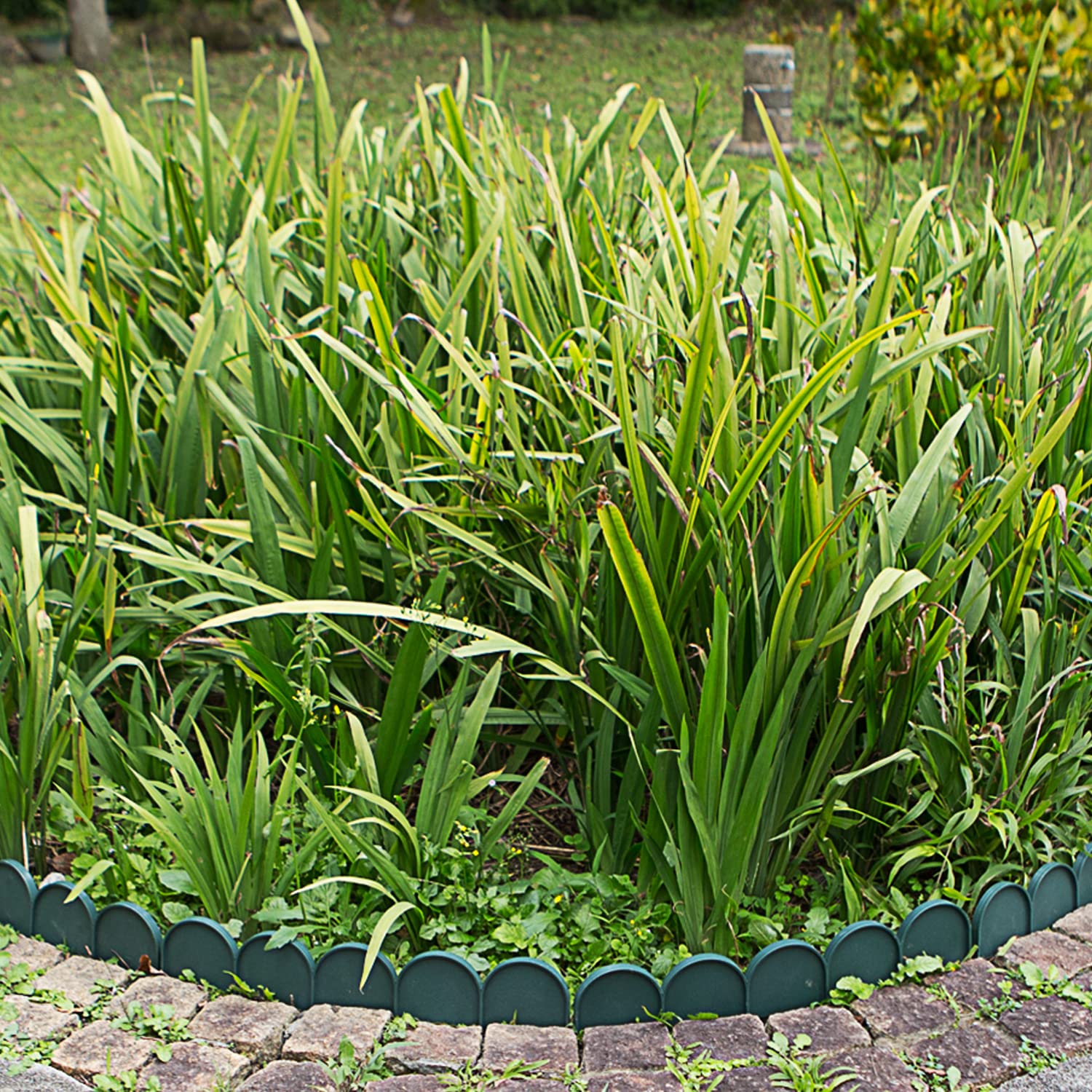 Circes Round Edging For Lawns