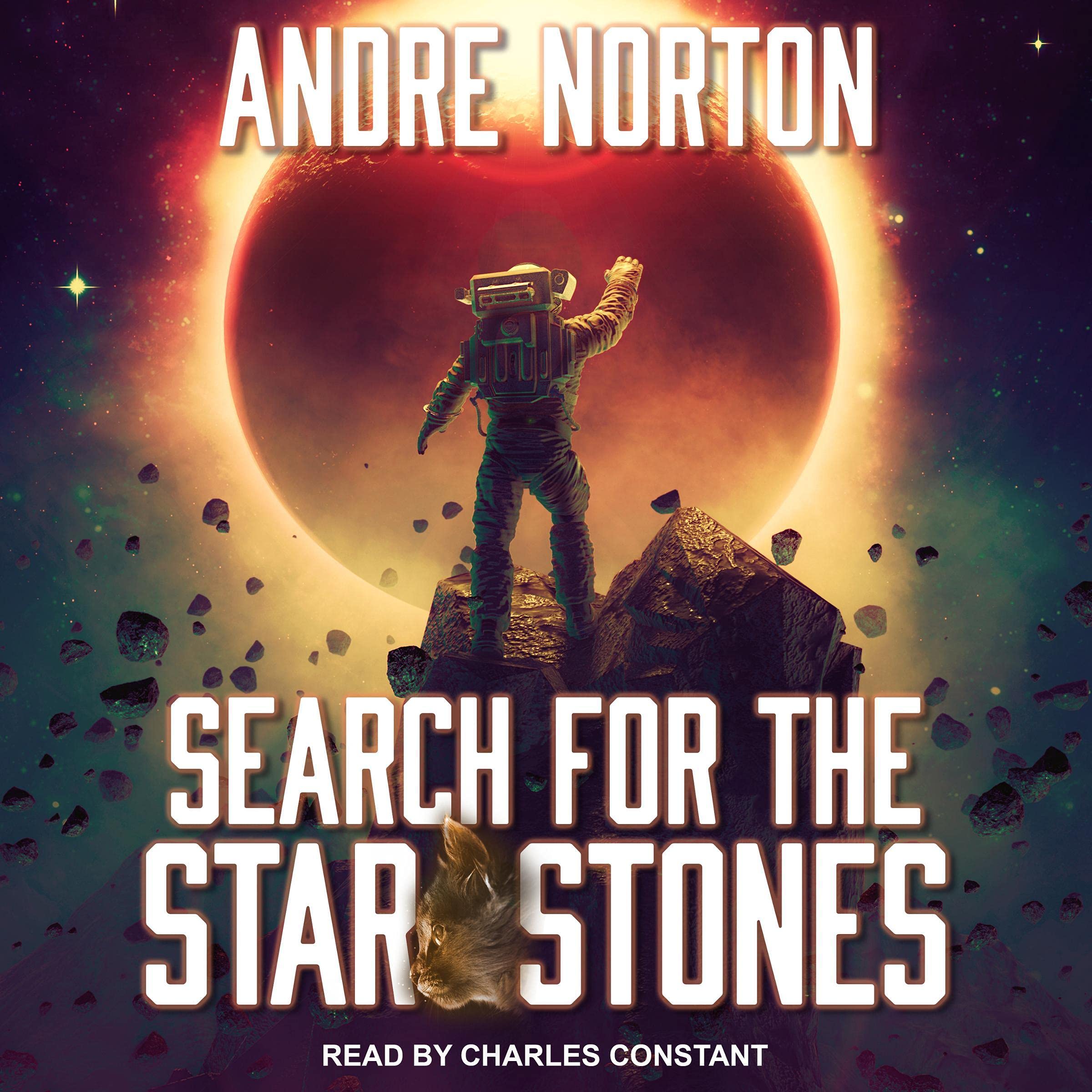 Cover art for Search for the Star Stones