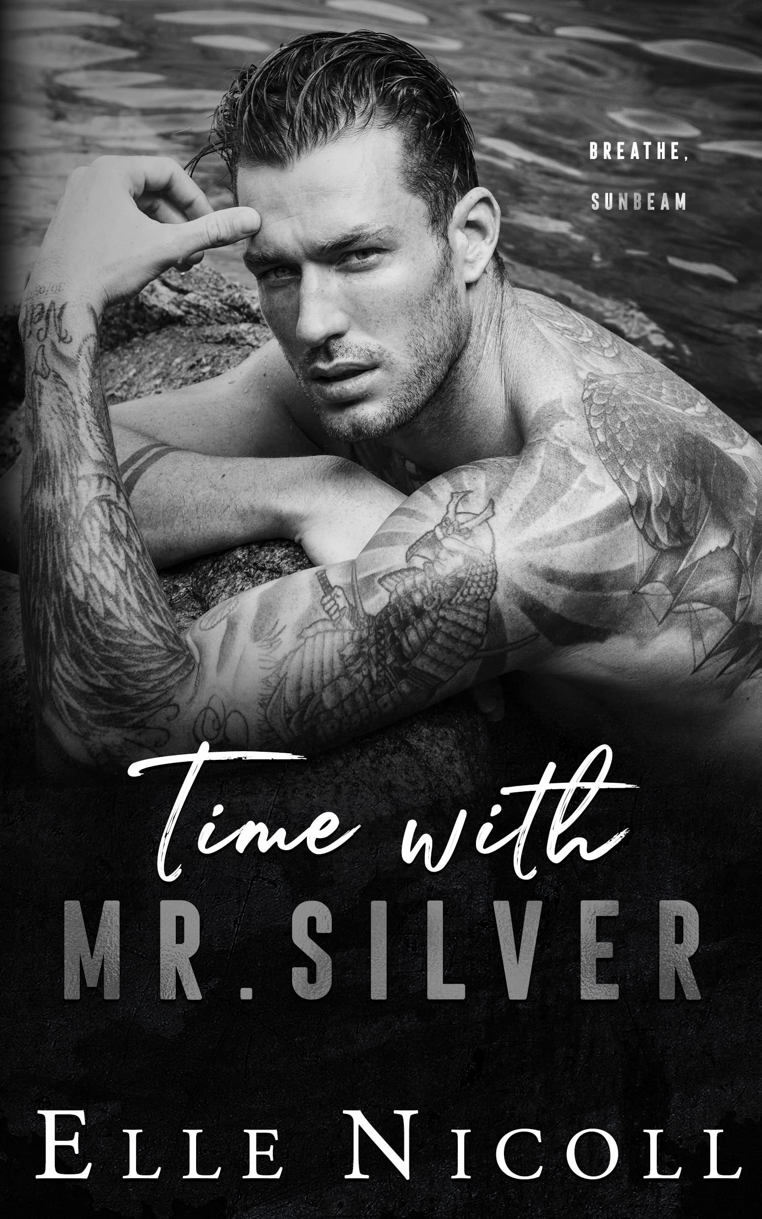 Time with Mr. Silver: A forced proximity steamy romance (The Men Series - Interconnected Standalone Romances Book 7)