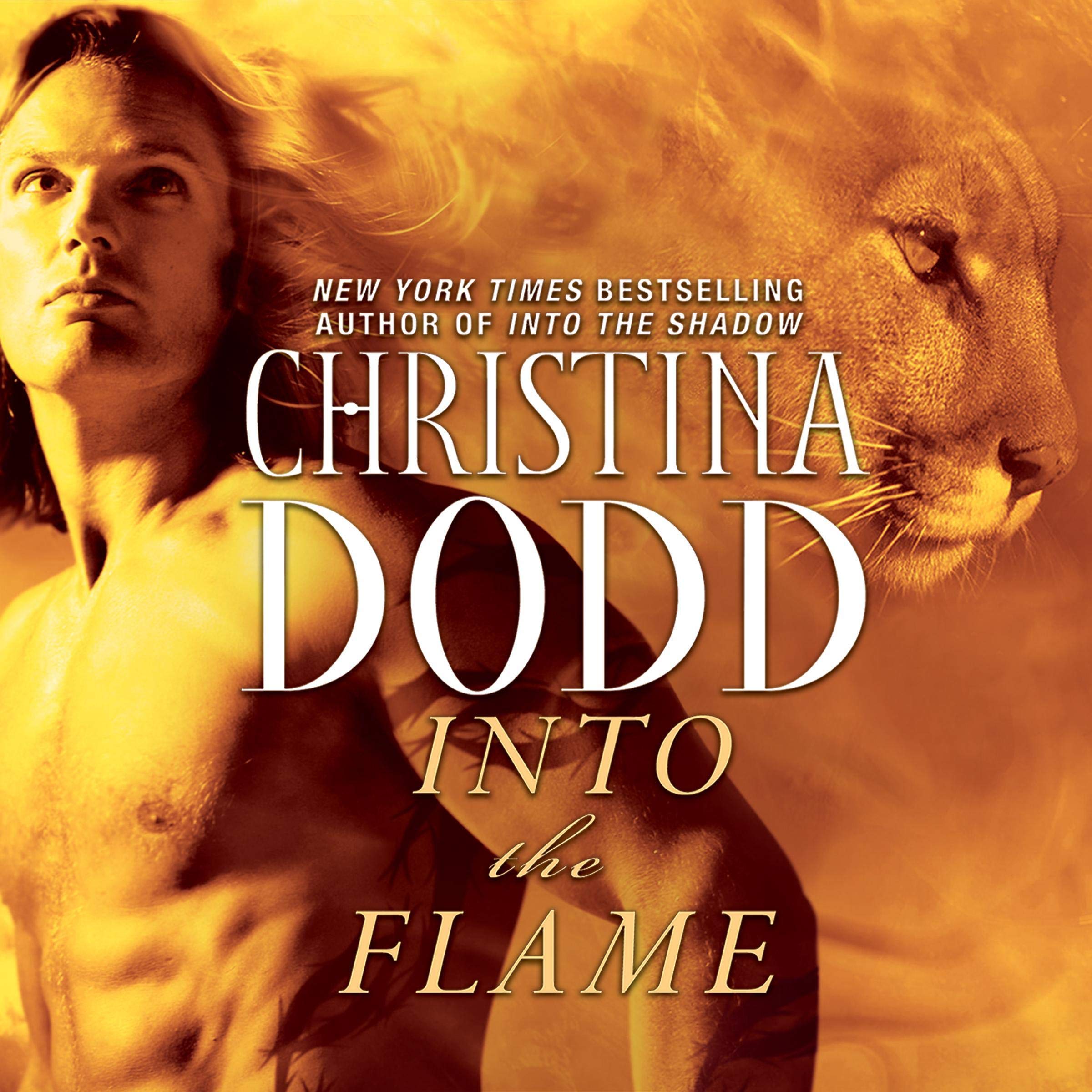 Cover art for Into the Flame