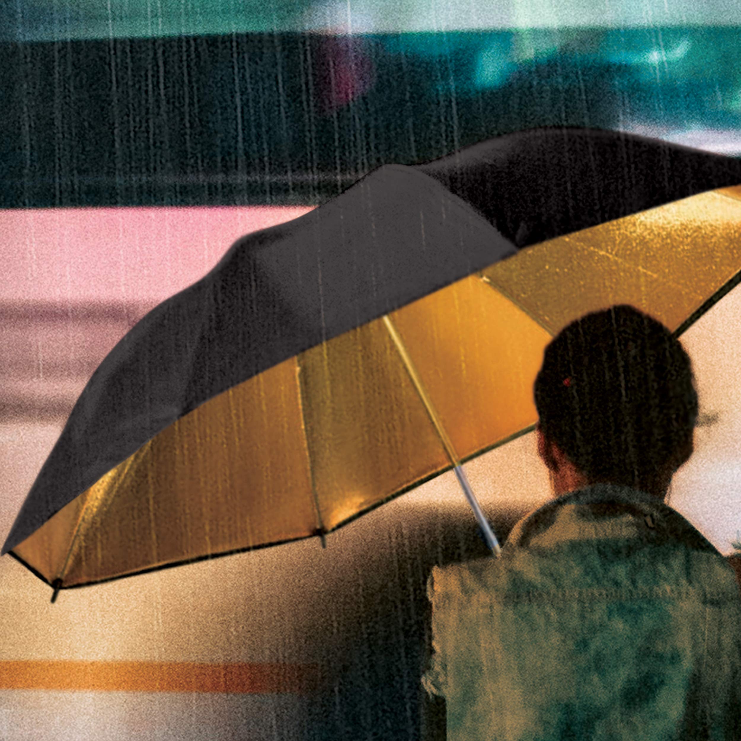 Suck UK Parapluie Arc-en-Ciel Compact Pliable et résistant au Vent pour Homme et Femme Parapluie Coupe-Vent pour Adulte, Noir, Dia.100 x H56cm, Moderne