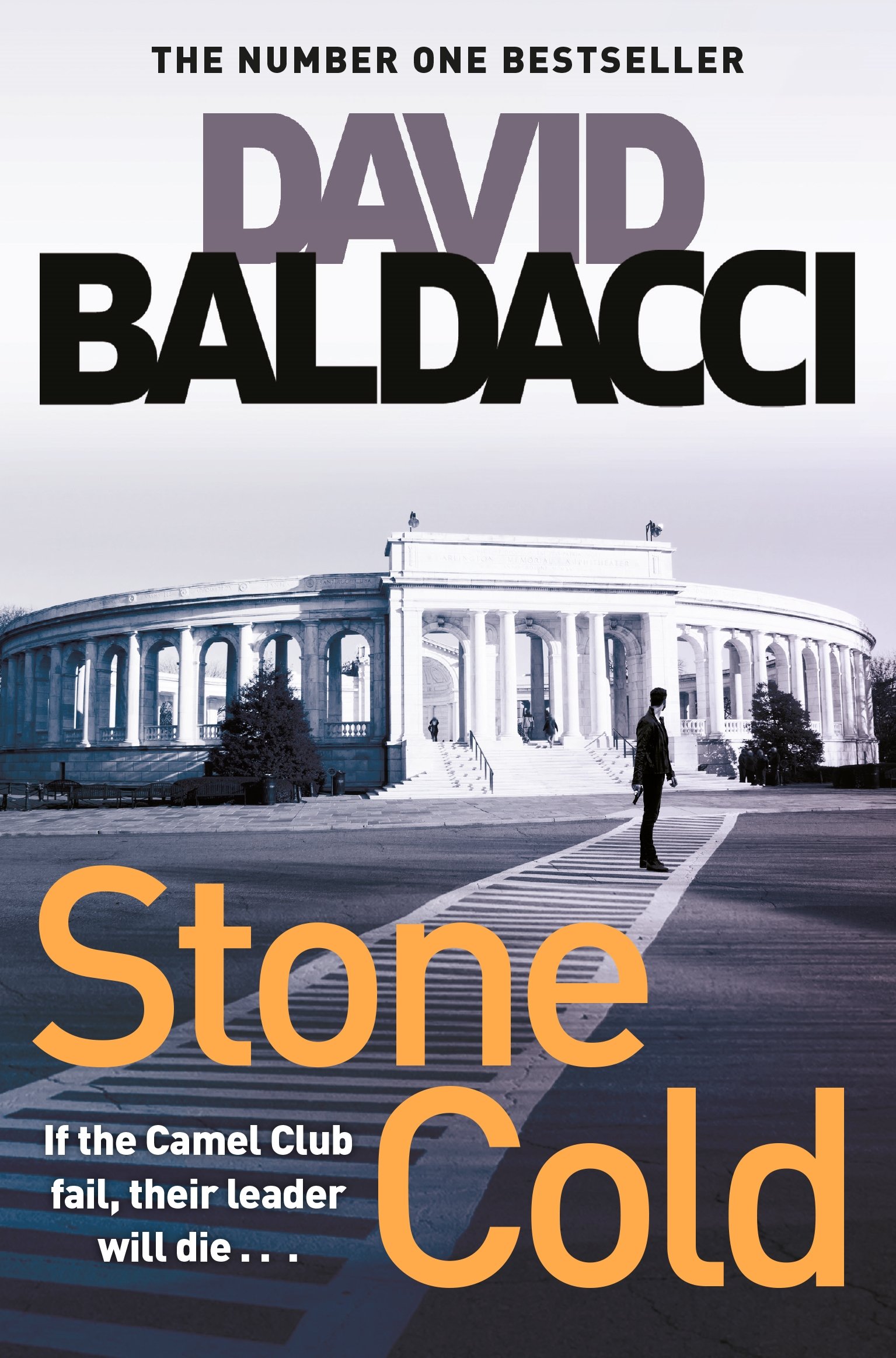 Stone Cold by David Baldacci PAPERBACK 9781509850990