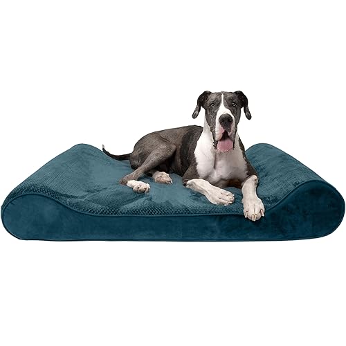 Furhaven Giant Orthopedic Dog Bed Minky Plush & Velvet Luxe Lounger w/ Removable Washable Cover - Spruce Blue, Giant (XXX-Large)