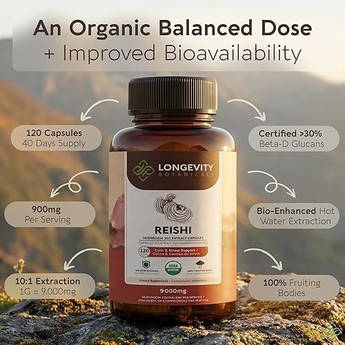 Miniatura 3 de Suplemento orgánico de cápsulas de hongos Reishi (120) | Extracto de alta resistencia 10:1 de cuerpo fructífero puro | 30% de glucanos beta-D |